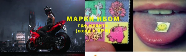 крисы Баксан