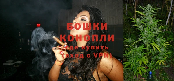 крисы Баксан