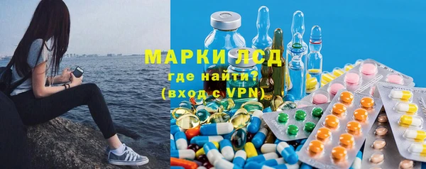 крисы Баксан