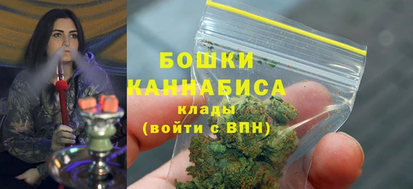 крисы Баксан