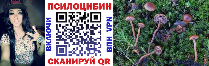 Галлюциногенные грибы мухоморы  Нижняя Тура 